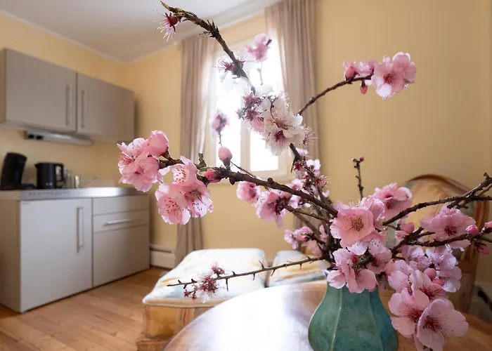 公寓 Refugium Theresienstrasse 19 - Gogh 罗特翁特尔里特堡